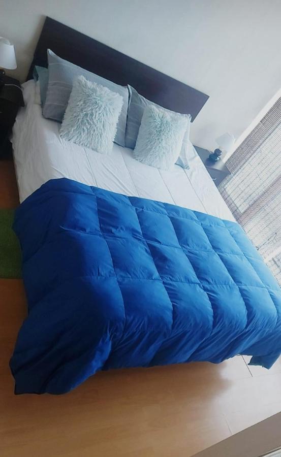 Precioso Apartamento 1D+1B // Jumbo+Centro 5 Min Puerto Montt Exteriör bild